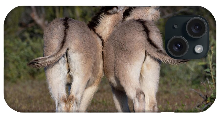 Wild Burros iPhone Case featuring the photograph Baby Burro Butts by Mary Hone