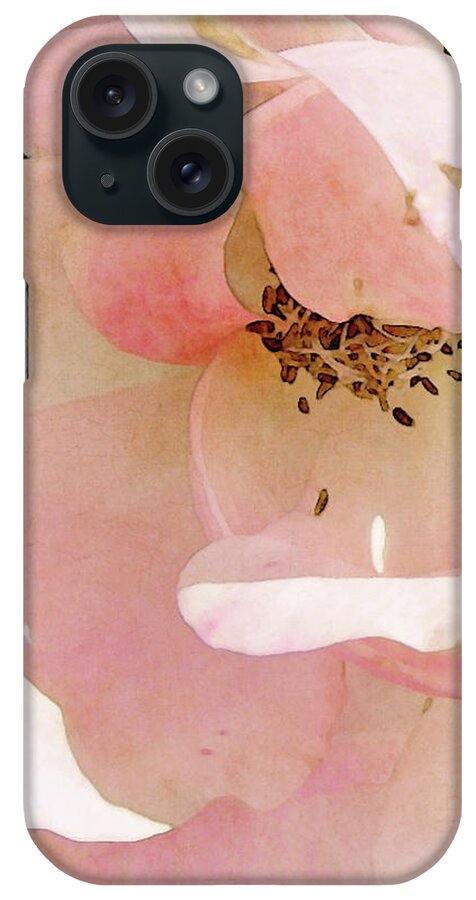 Rose iPhone Case featuring the photograph Baby Pink Betty Pryor by Karen Lynch