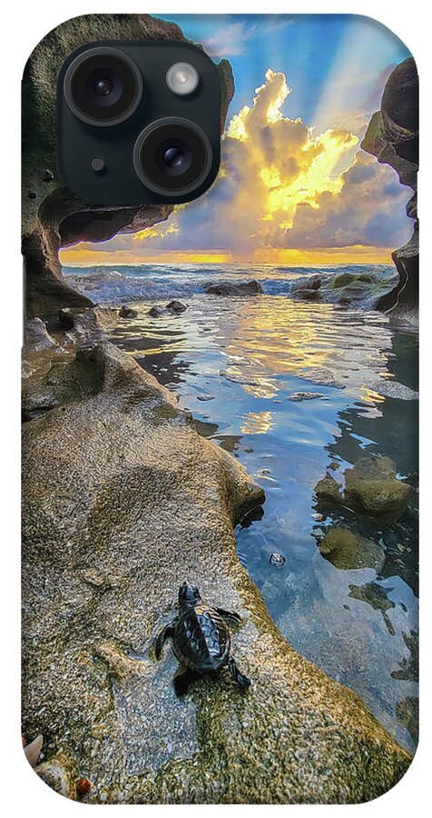 Jupiter Island iPhone Case featuring the photograph Baby Sea Turtles Between the Rocks Coral Cove Jupiter Island by Kim Seng
