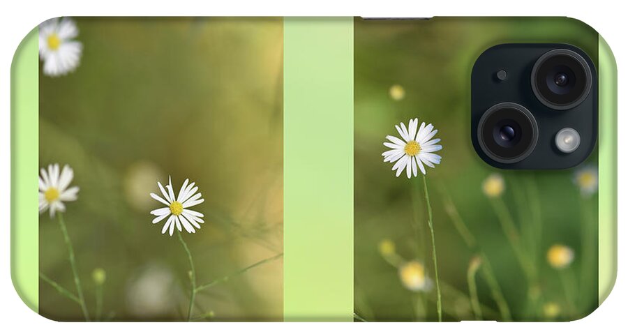 Bloom iPhone Case featuring the photograph Baby's breath by Phil And Karen Rispin
