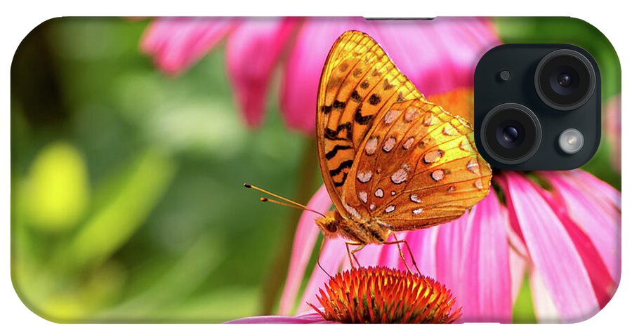 Great Spangled Fritillary Butterfly iPhone Case featuring the photograph Backlit Fritillary Butterfly on Coneflower I by Marianne Campolongo