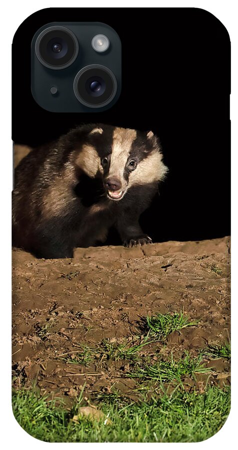 European Badger iPhone Case featuring the photograph Badger by Louise Heusinkveld