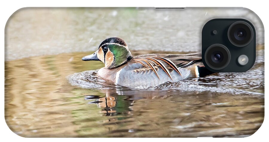 Baikal Teal iPhone Case featuring the photograph Baikal Teal, a beautiful and rare visitor in Sweden by Torbjorn Swenelius