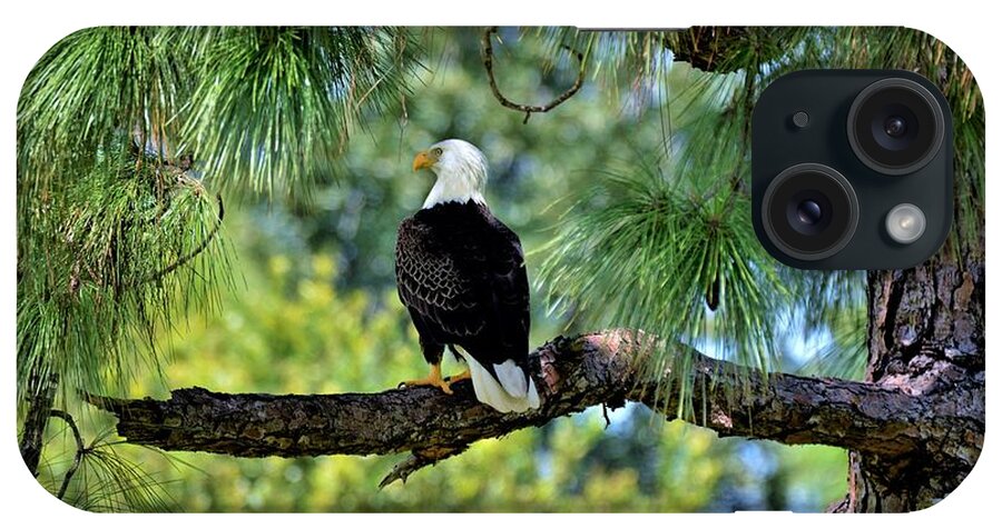 Bald Eagle iPhone Case featuring the photograph Bald Eagle American Symbol by Julie Adair