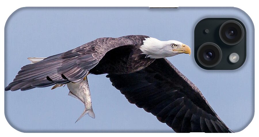 Bald Eagle iPhone Case featuring the photograph Bald Eagle and the Fish by Ken Fullerton