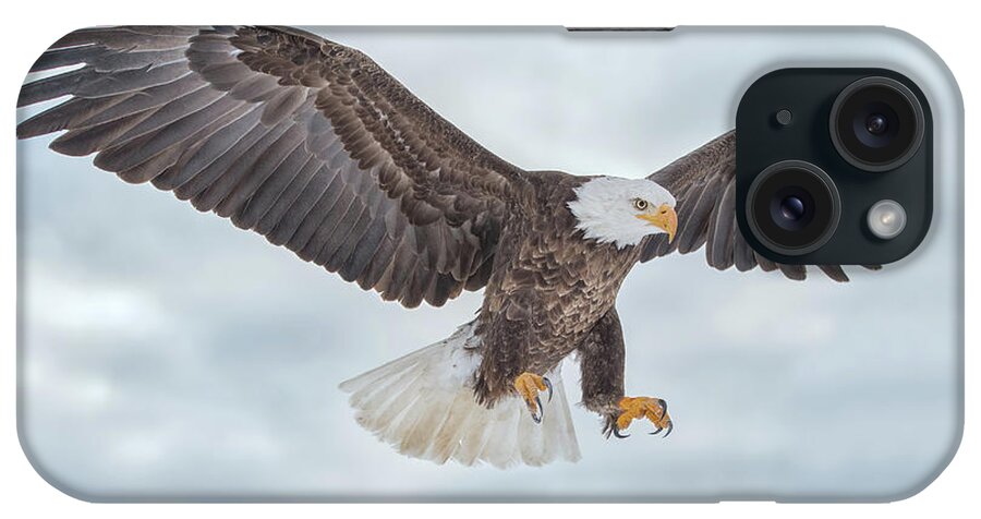 Eagle iPhone Case featuring the photograph Bald Eagle Blue Sky by CR Courson