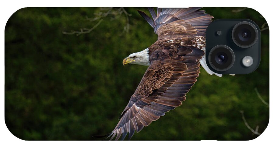 Nature iPhone Case featuring the photograph Bald Eagle in Flight by Linda Shannon Morgan