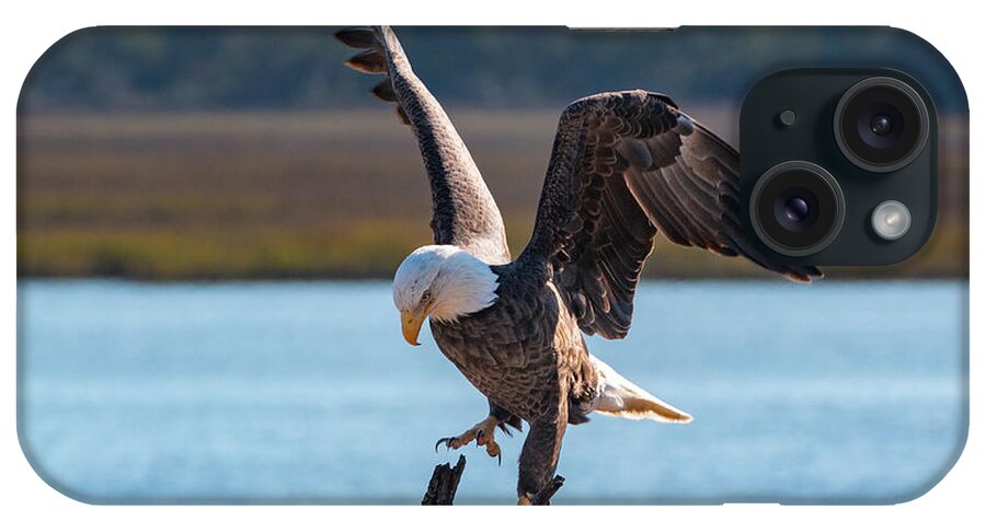 Bald Eagle iPhone Case featuring the photograph Bald Eagle Landing by D K Wall
