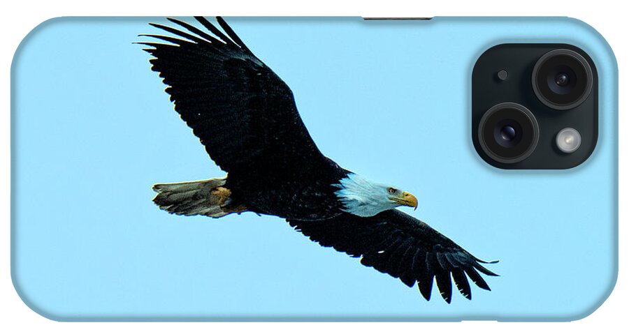 Natanson iPhone Case featuring the photograph Bald Eagle Soaring over the Homer Spit by Steven Natanson