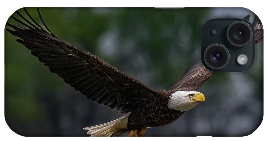 Animal iPhone Case featuring the photograph Bald Eagle with fish by Brian Shoemaker
