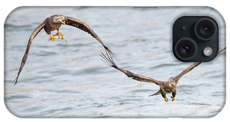 Wildlife iPhone Case featuring the photograph Bald Eagles Fight For Fish by Rehna George