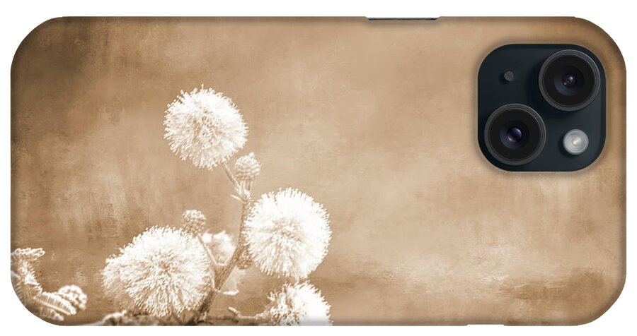 Wattle iPhone Case featuring the photograph Balls of Sepia by Elisabeth Lucas