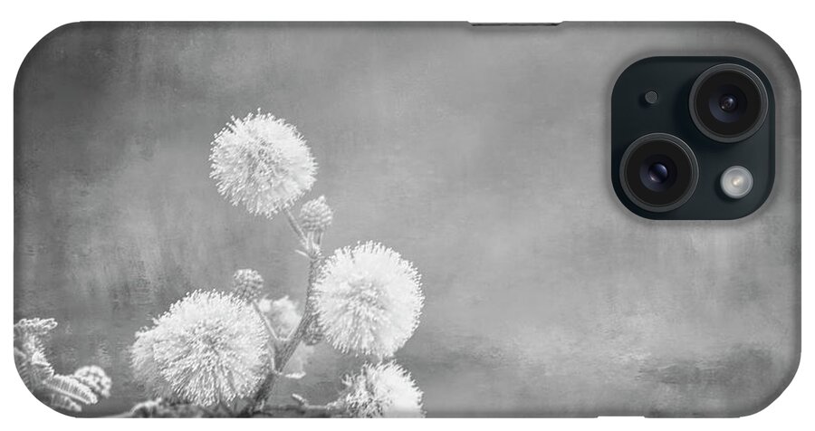 Wattle iPhone Case featuring the photograph Balls of Silver by Elisabeth Lucas