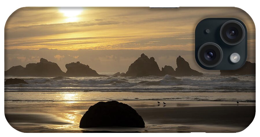 Beaches iPhone Case featuring the photograph Bandon Gold by Steven Clark