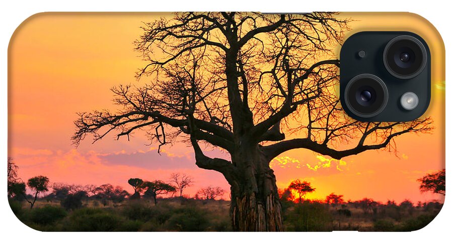 Arid Climate iPhone Case featuring the photograph Baobab tree at sunset by Bruce Block