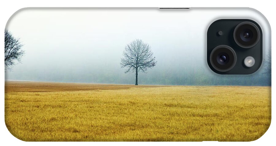 Winter iPhone Case featuring the photograph Bare Trees on Golden Grass by WAZgriffin Digital