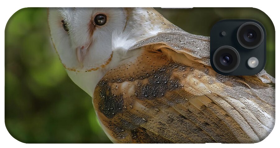 Barn Owl iPhone Case featuring the photograph Barn Owl by Yeates Photography