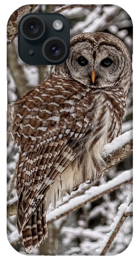 Barred iPhone Case featuring the photograph Barred Owl in Snow by Wade Aiken