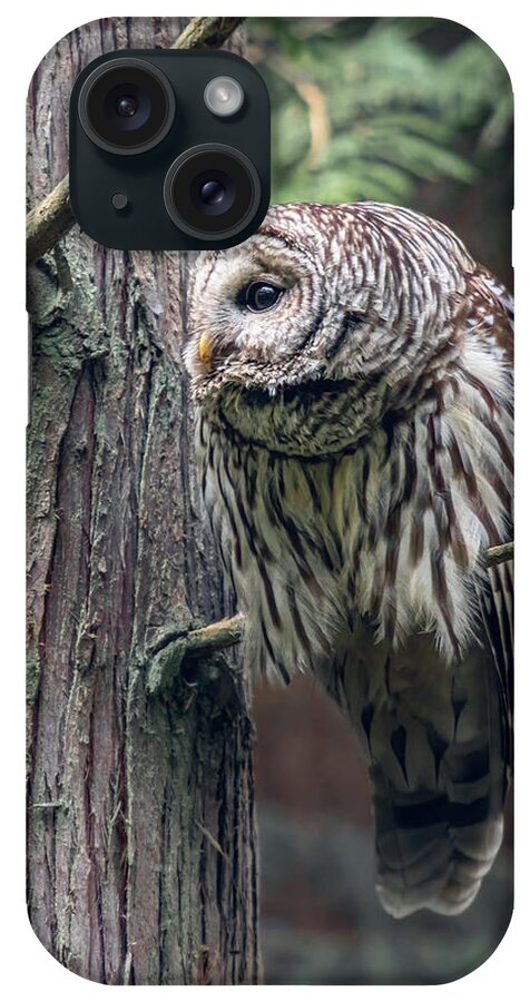 Barred Owl iPhone Case featuring the photograph Barred Owl Profile by Michael Rauwolf
