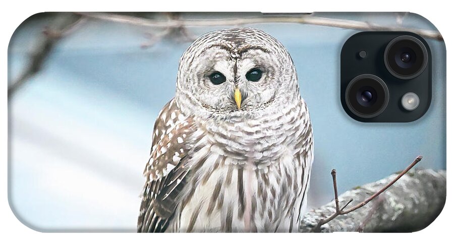 Barred iPhone Case featuring the photograph Barred Owl by Steven Nelson