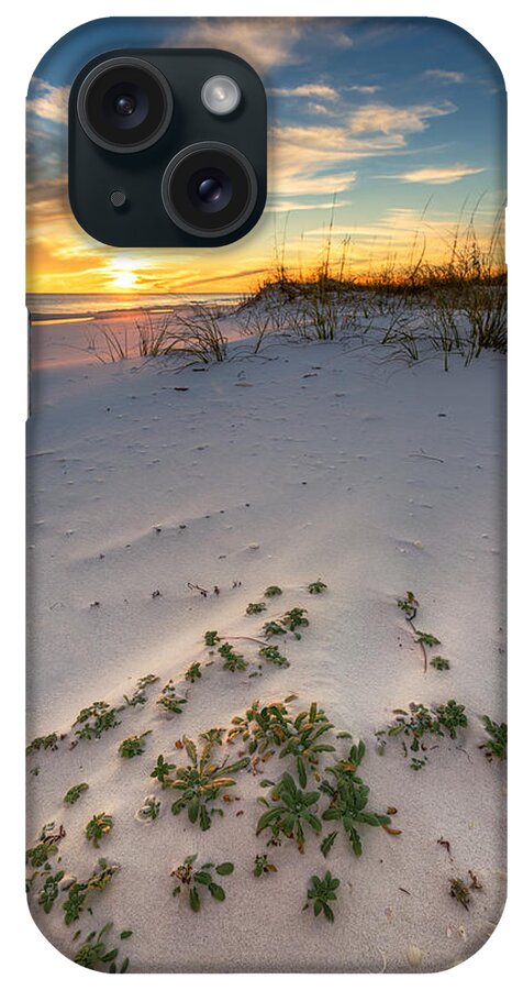 Florida iPhone Case featuring the photograph Beach Plants at Sunset by Mike Whalen