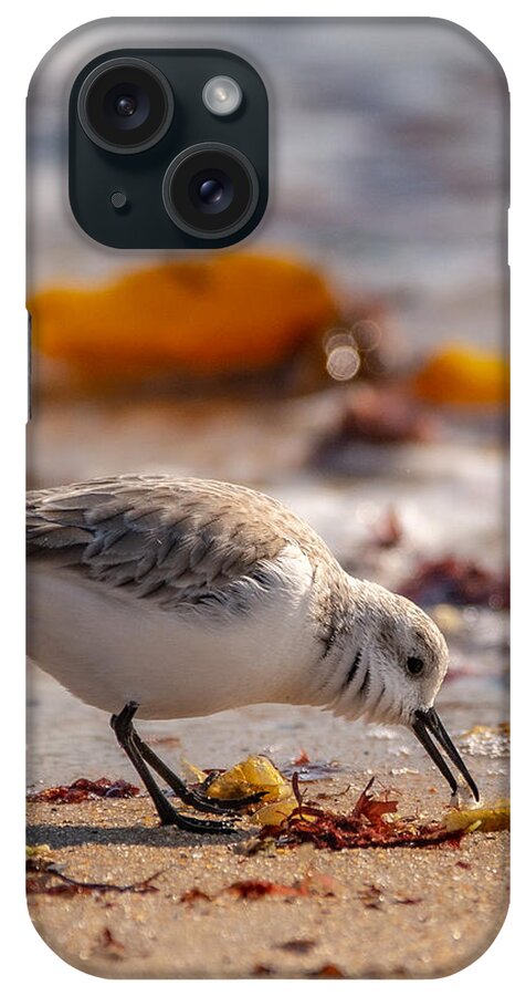 Shore Bird iPhone Case featuring the photograph Beach Salad by Linda Bonaccorsi