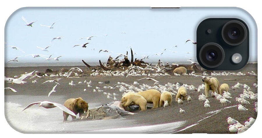 Bear iPhone Case featuring the photograph Bears Eating Whale - Paintography by Anthony Jones