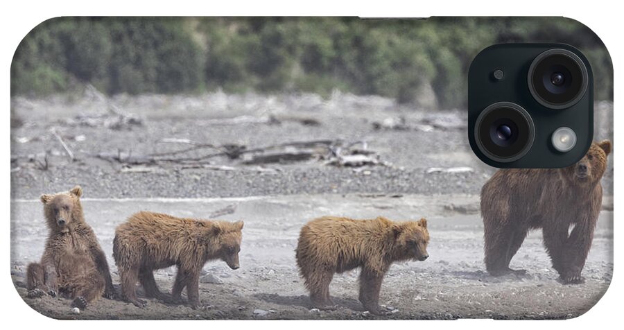 Alaska iPhone Case featuring the photograph Bears in a Sandstorm by Cheryl Strahl