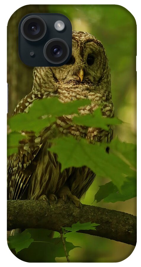 Owl Portrait iPhone Case featuring the photograph Beautiful Barred Owl Mother by Heather King