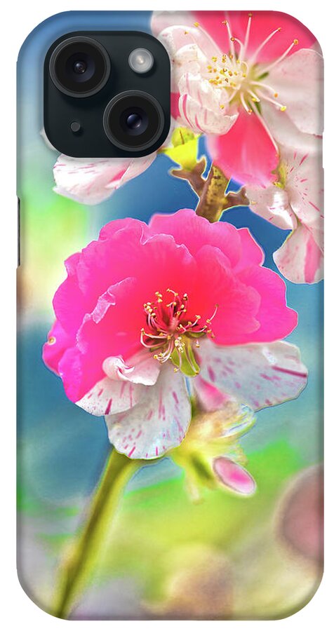 Cherry Blossom Tree iPhone Case featuring the photograph Beautiful Blossoms by Az Jackson