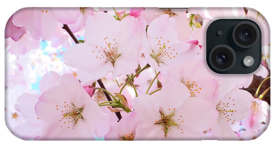 Japanese Cherry Blossom iPhone Case featuring the photograph Beautiful Blossoms by Scott Cameron
