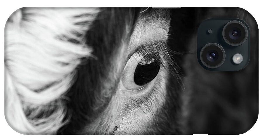 Livestock iPhone Case featuring the photograph Beautiful Eye of a Cow by Martin Vorel Minimalist Photography