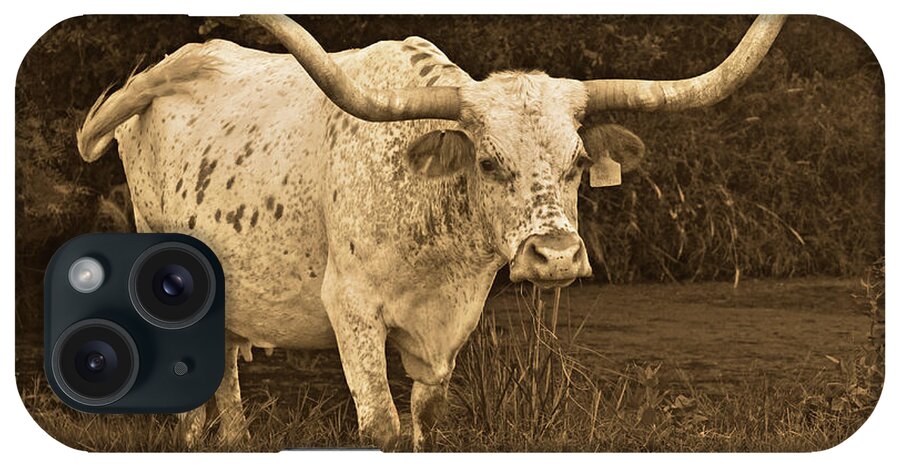 Texas Longhorn Cow Picture iPhone Case featuring the photograph Beautiful longhorn cow - Lady Godiva by Cathy Valle