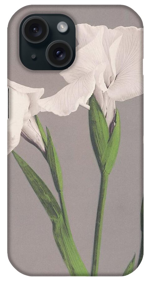 Ogawa Kazumasa iPhone Case featuring the painting Beautiful photomechanical prints of White Irises - 1887-1897 by Ogawa Kazumasa by Les Classics
