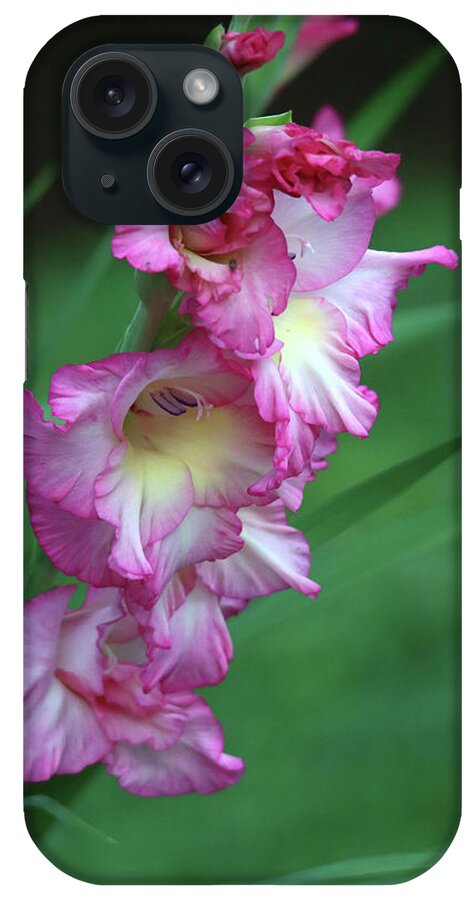 Flowers iPhone Case featuring the photograph Beautiful Pink Gladiola by Trina Ansel