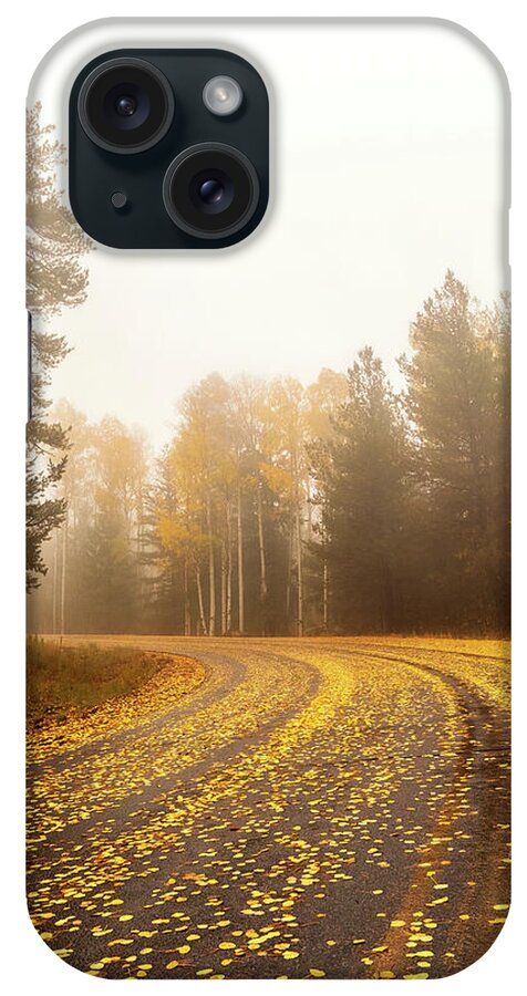 Art iPhone Case featuring the photograph Beauty Around Every Bend by Rick Furmanek