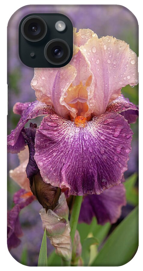Jenny Rainbow Fine Art Photography iPhone Case featuring the photograph Beauty Of Irises - Adamas 2 by Jenny Rainbow