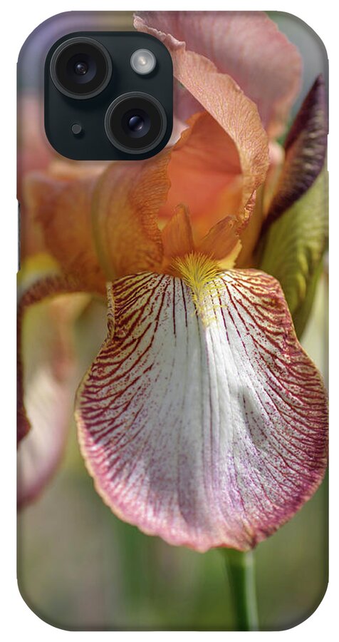 Jenny Rainbow Fine Art Photography iPhone Case featuring the photograph Beauty Of Irises. Hochspannung by Jenny Rainbow
