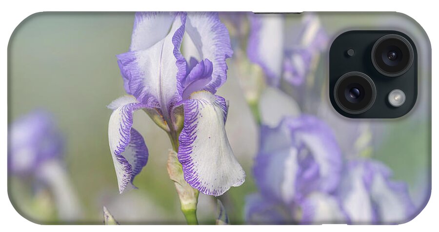 Jenny Rainbow Fine Art Photography iPhone Case featuring the photograph Beauty Of Irises. Madame Chereau 1 by Jenny Rainbow