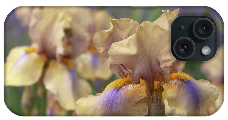 Jenny Rainbow Fine Art Photography iPhone Case featuring the photograph Beauty Of Irises. Mystery Time 1 by Jenny Rainbow