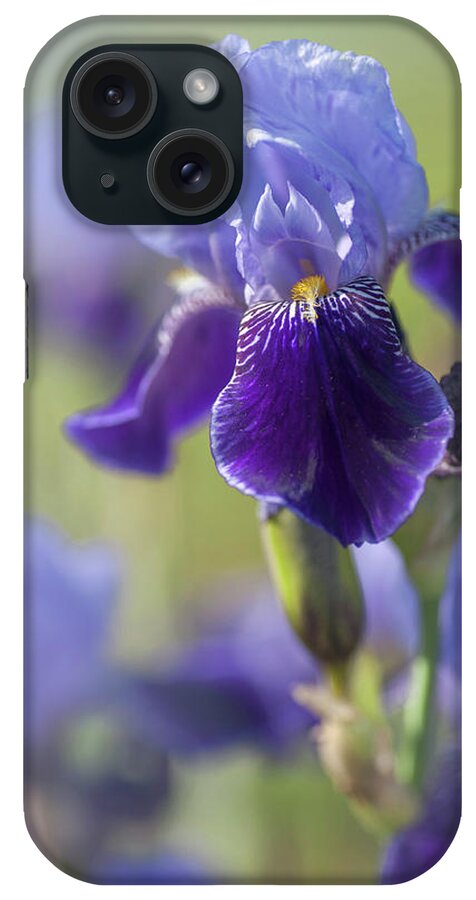 Jenny Rainbow Fine Art Photography iPhone Case featuring the photograph Beauty Of Irises. Perfection by Jenny Rainbow