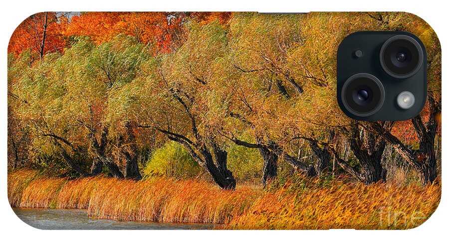 Leaves iPhone Case featuring the photograph Beauty of WNY Trees by fototaker Tony