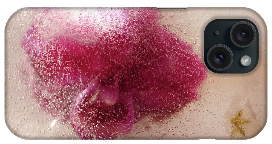 Abstractexpressionism iPhone Case featuring the photograph Beauty by Randi Grace Nilsberg