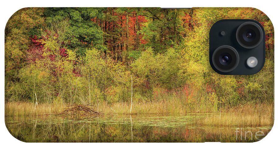 Nature iPhone Case featuring the photograph Beaver Lodge by Trey Foerster