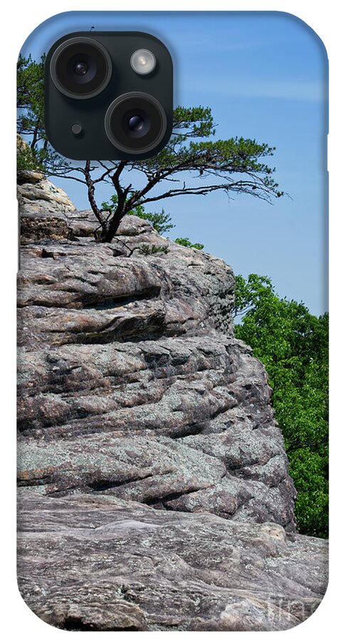 View iPhone Case featuring the photograph Bee Rock Overlook 10 by Phil Perkins