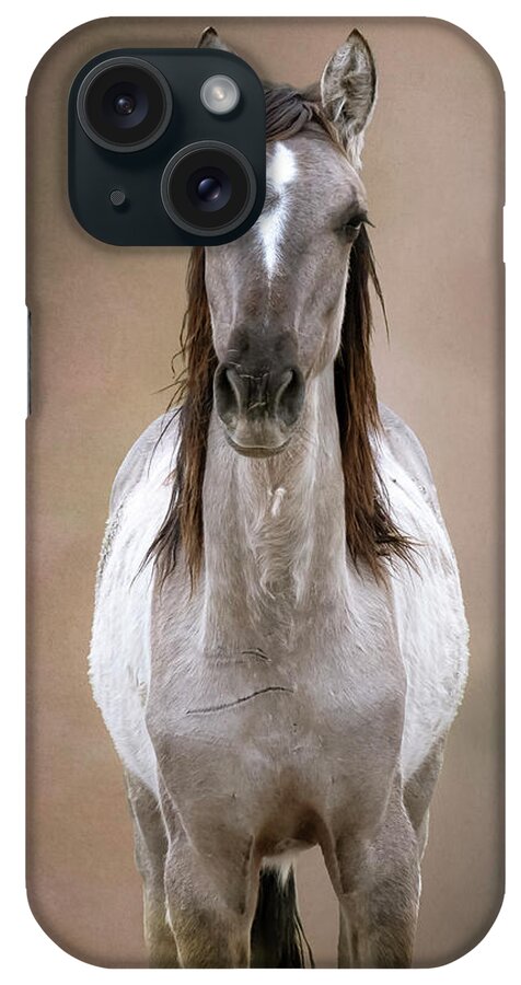 Wild Horse iPhone Case featuring the photograph Bella by Mary Hone