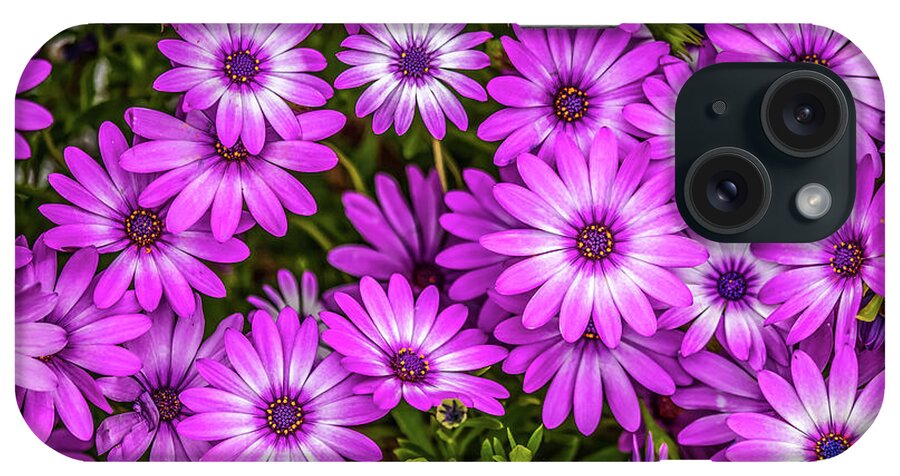Spring Flowers iPhone Case featuring the photograph Bellissima by Az Jackson