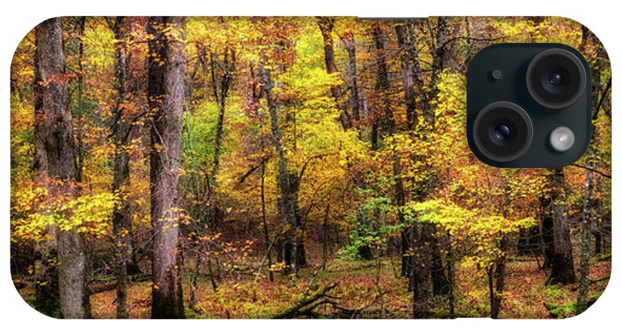 Fall Colors iPhone Case featuring the photograph Beneath the Trees of Autumn Panorama 1122 by Dan Carmichael