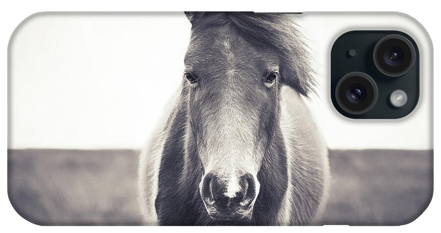 Horse iPhone Case featuring the photograph Benny IIII - Horse Art by Lisa Saint