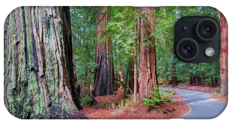 Big Basin iPhone Case featuring the photograph Big Basin Redwoods photo, 3 by Glenn Franco Simmons
